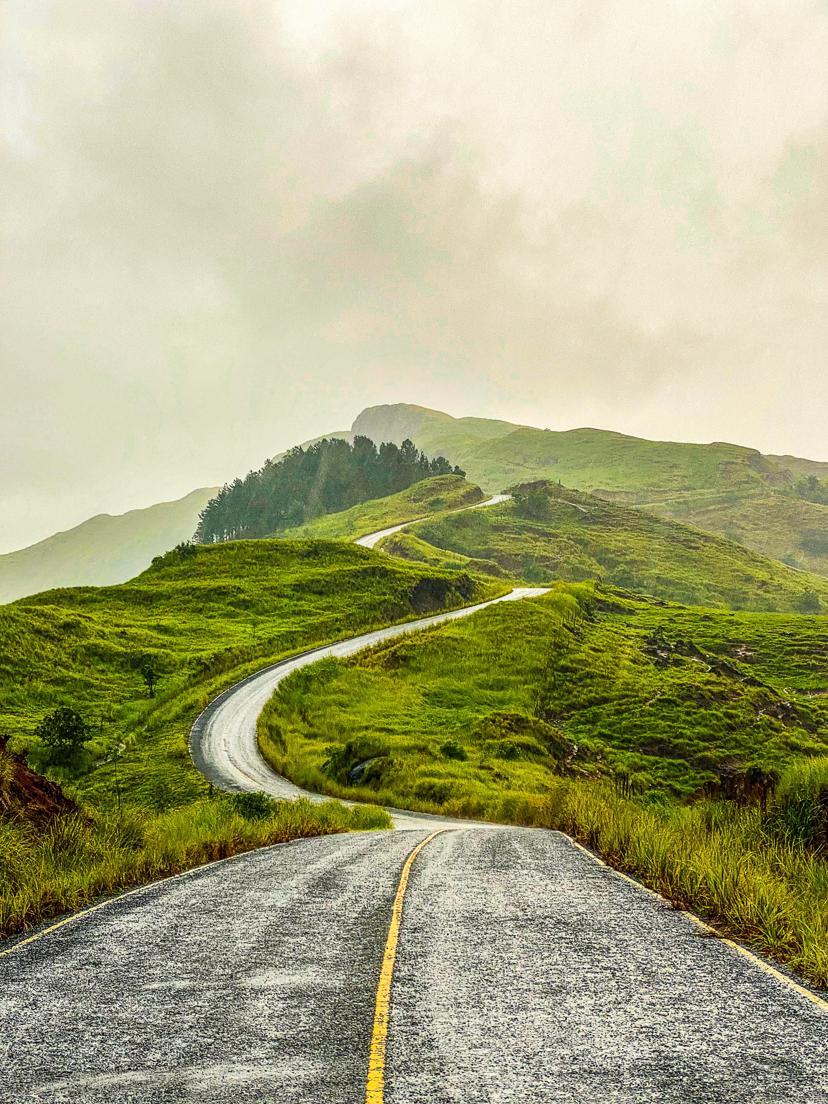 A UI card from the app showing a traveler's profile.